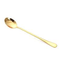 Long Handle Tea Spoon